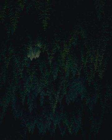 Portada de Calm
