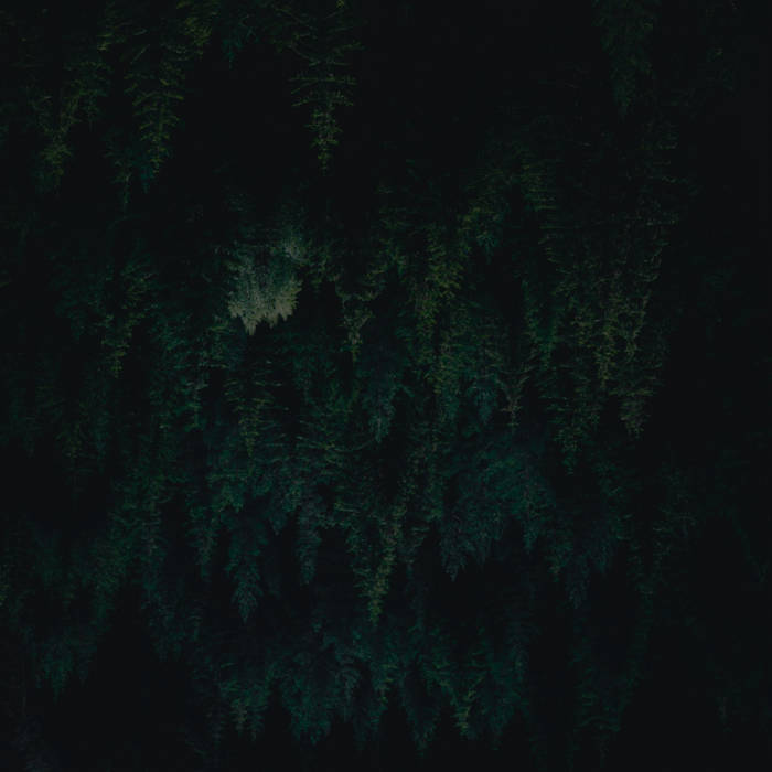 Portada de Calm